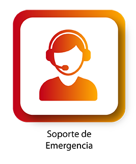 Implantación de proceso remoto